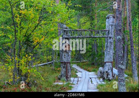 Portail en bois et promenade dans une forêt d'automne dans le parc national de Hamra, en Suède Banque D'Images