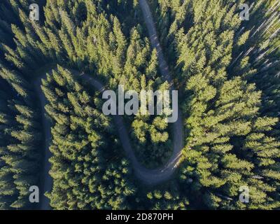 Vue aérienne sur route de montagne traversant le paysage de forêt Banque D'Images