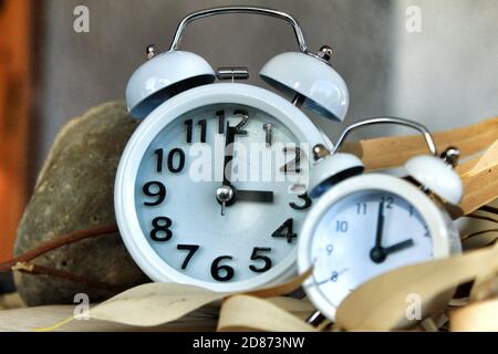 Des horloges blanches sur des feuilles d'eucalyptus sèches marquent le changement d'heure d'hiver en automne Banque D'Images