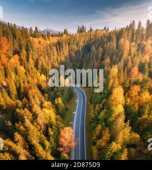 Vue aérienne de la route de montagne en forêt au coucher du soleil automne Banque D'Images