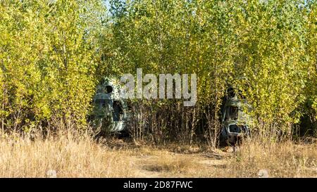 Le Mil mi-2 est un petit hélicoptère de transport à turbine légèrement armé abandonné et couvert dans un épaiset dans un ancien champ de base aérienne, l'aviation reste i Banque D'Images