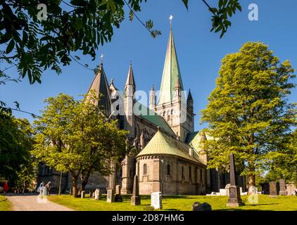 Cathédrale de Nidaros, Cathédrale, Trondheim, Trøndelag, Norvège, Scandinavie, Europe, voyage aventure, Bureau des Présidents de la Coopérative norvégienne Banque D'Images