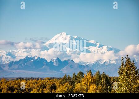 Vue panoramique sur le sommet de la montagne Denali en gros plan l'été Alaska jour ensoleillé Banque D'Images
