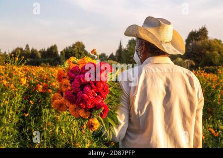 Fermier mexicain portant des fleurs de cempasuchil d'orange et de cerise Banque D'Images