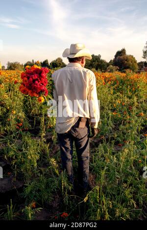 Fermier mexicain portant des fleurs de cempasuchil d'orange et de cerise Banque D'Images