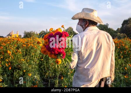 Fermier mexicain portant des fleurs de cempasuchil d'orange et de cerise Banque D'Images