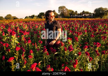 Jeune homme au polo noir sur un champ de fleurs de cempasuchil au coucher du soleil Banque D'Images