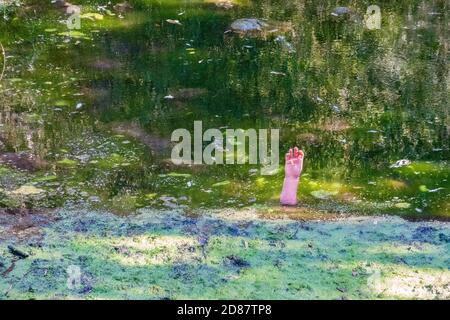 Vous pouvez vous retirer de l'eau de la crique Banque D'Images