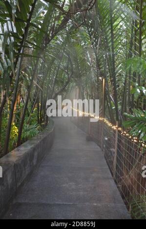 Samut Prakan , THAÏLANDE - OCTOBRE 10 : promenade dans le café et restaurant Hiddenwoods le 10 OCTOBRE 2020 à Bang Krachao , Samut Prakan , THAÏLANDE Banque D'Images