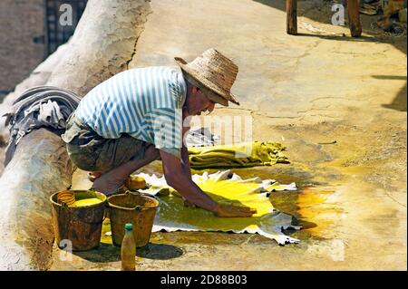 Un vieil homme marocain teint à la main blanc couleur jaune vif dans le cadre du processus de production du cuir à la Tannerie Chouara de Fès, au Maroc. Banque D'Images