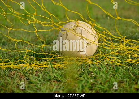 Ballon de football dans le filet de but avec terrain de football en herbe verte Banque D'Images