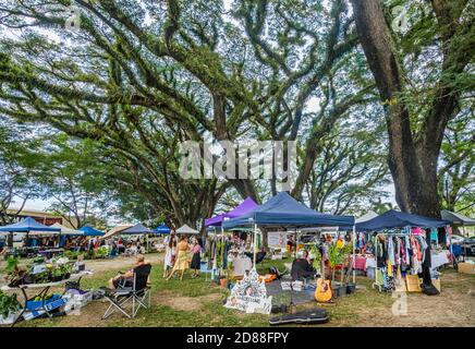 Mossman Community Markets, sous la voûte ombragée d'immenses arbres à pluie anciens, est un lieu populaire pour les produits biologiques locaux et les articles artisanaux, Mossm Banque D'Images