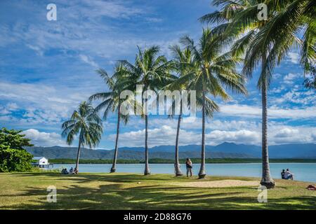 parc Rex Smeal bordé de palmiers, Port Douglas, Queensland du Nord, Australie Banque D'Images