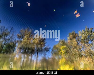 Triplement reflet d'automne dans un lac forestier tourbillonnant. Banque D'Images