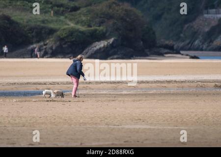 Une marchette à chiens et ses chiens marchent sur un banc de sable sur la marée de la rivière Gannel à marée basse à Newquay, en Cornouailles. Banque D'Images