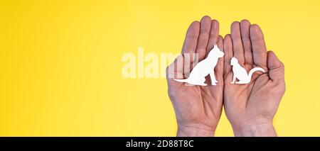 Concept d'assurance pour animaux de compagnie avec chat papier et chien dans mains sur fond jaune Banque D'Images