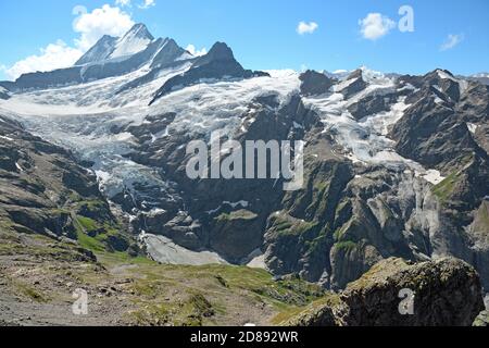 Vue sur le Schreckhorn depuis le Chrinnenhorn. Banque D'Images