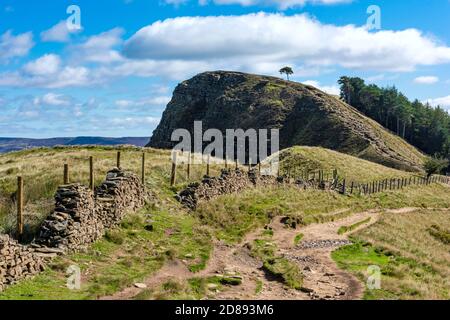 Arbre solitaire sur le dos Castleton Derbyshire Peak District Angleterre , ROYAUME-UNI Banque D'Images