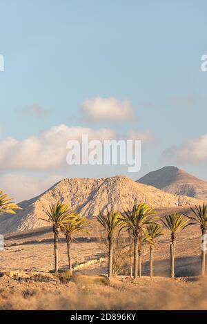 Plage de Los Molinos à Fuerteventura, îles Canaries en été 2020. Banque D'Images