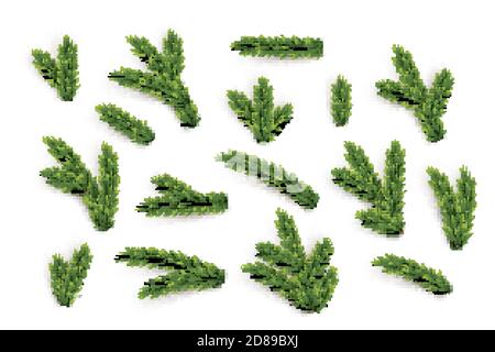 Ensemble de branches et d'éléments en sapin. Collection de pièces d'arbre de Noël à motif vectoriel vert. Illustration de Vecteur