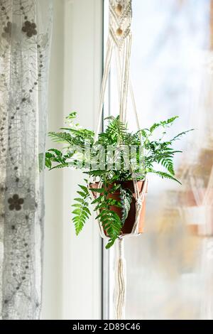 Gros plan de macrame fait main pour les fleurs, accroché près de la fenêtre. Plantes d'intérieur, un passe-temps, l'amour des plantes. Concept de décoration d'intérieur. Banque D'Images