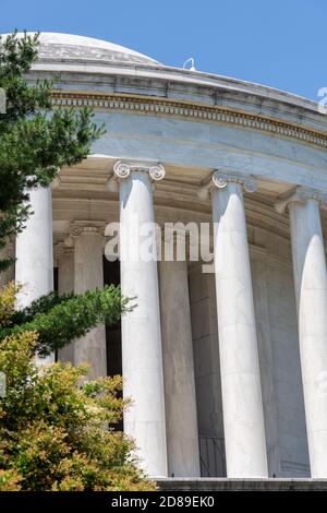 Les colonnes de l'ordre ionique, avec des capitales scinlées, supportent le dôme peu profond du Jefferson Memorial à Washington DC. Banque D'Images