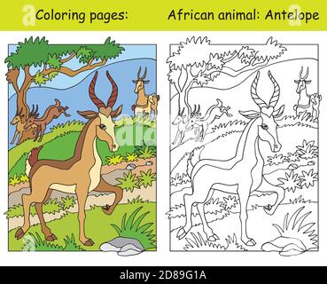 Pages à colorier vectorielles avec l'antilope mignon dans la région africaine. Illustration colorée isolée par un dessin animé. Image colorée et colorée de l'antilope. Pour colorier Illustration de Vecteur