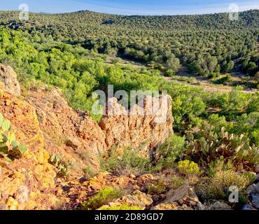 Devil's point, Prescott National Forest, Arizona, États-Unis Banque D'Images