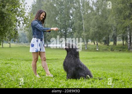 Une femme forme briard dans le parc pendant la marche. Banque D'Images