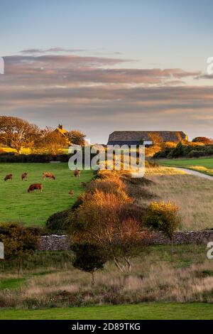 Vue sur la Grange Spyway au coucher du soleil près de Langton Matravers sur l'île de Purbeck à Dorset, en Angleterre Banque D'Images