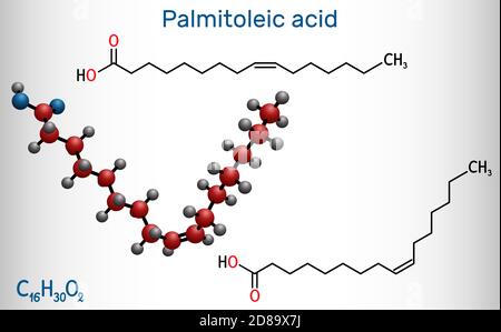 Acide palmitoléique, molécule de palmitoléate. C'est un acide gras monoinsaturé oméga-7. Formule chimique structurelle sur fond bleu foncé. Vecteur Illustration de Vecteur