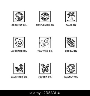 Ensemble vectoriel d'éléments de conception, modèle de conception de logo, icônes et badges pour les huiles naturelles. Jeu d'icônes de ligne, contour modifiable. Illustration de Vecteur