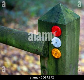 Clôture Post, Wakerley Woods, Northamptonshire, Angleterre, Royaume-Uni Banque D'Images