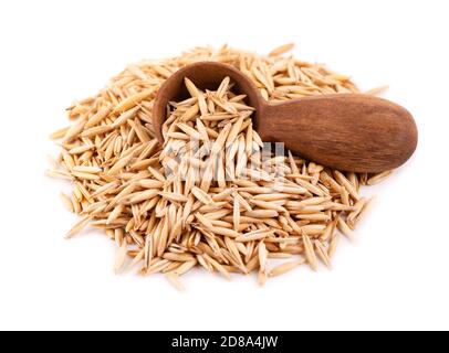 Grains d'avoine non pelés dans une cuillère en bois, isolés sur fond blanc. Graines d'avoine sèches organiques. Banque D'Images