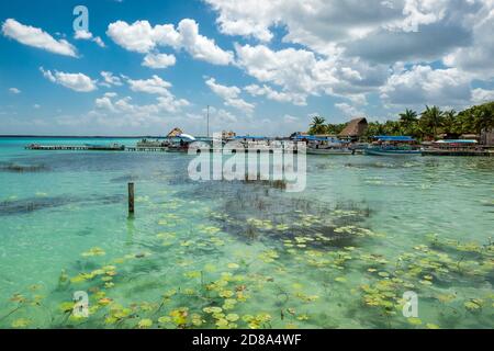 Bacalar, Yucatan, Mexique - 10 mars 2020 : vue sur la lagune de Bacalar, Quintana Roo, Mexique. Connu sous le nom de « lagune de sept couleurs », le tout frais Banque D'Images