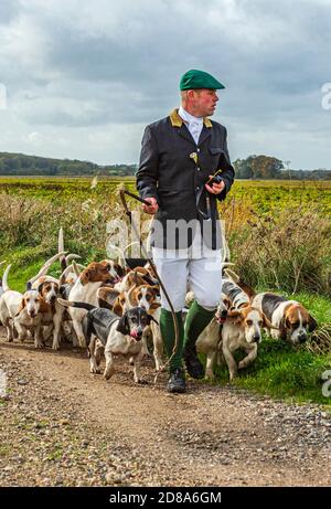 Blankney, Lincoln, Lincolnshire, Royaume-Uni. 28 octobre 2020. Les East Lincs Bassett Hounds sont dirigés par Matt Bowring sur le bord de la Lincolnshire Fens qui a attiré un grand nombre de personnes observant. Credit: Matt Limb OBE/Alamy Live News Banque D'Images