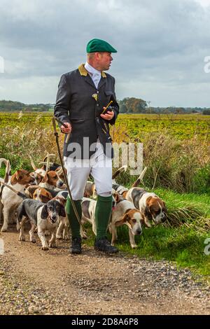 Blankney, Lincoln, Lincolnshire, Royaume-Uni. 28 octobre 2020. Les East Lincs Bassett Hounds sont dirigés par Matt Bowring sur le bord de la Lincolnshire Fens qui a attiré un grand nombre de personnes observant. Credit: Matt Limb OBE/Alamy Live News Banque D'Images