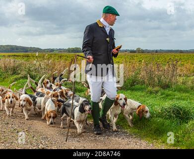 Blankney, Lincoln, Lincolnshire, Royaume-Uni. 28 octobre 2020. Les East Lincs Bassett Hounds sont dirigés par Matt Bowring sur le bord de la Lincolnshire Fens qui a attiré un grand nombre de personnes observant. Credit: Matt Limb OBE/Alamy Live News Banque D'Images