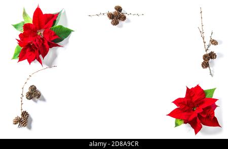 Fleur de Noël avec décoration en cône de pin. Plat à motif fleuri Banque D'Images