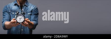 Orientation panoramique de l'homme montrant le réveil isolé sur gris avec espace de copie, concept de gestion du temps Banque D'Images
