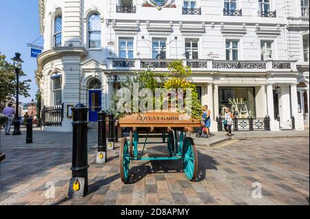 barrow décoratif dans King Street inscrit au nom de Covent Garden, Londres WC2 lors d'une journée ensoleillée devant la boutique et le café Petersham Nurseries Banque D'Images