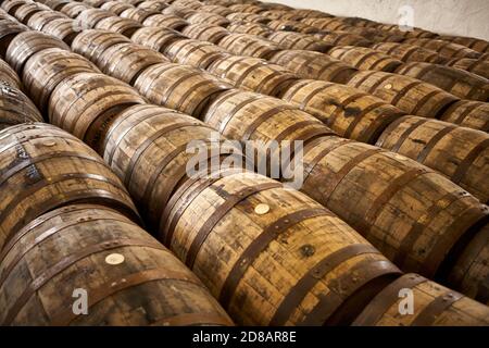 Rangées de barils Scotch Whisky dans un entrepôt Banque D'Images