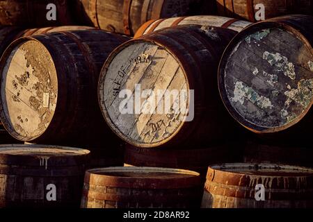 Fûts Scotch Whisky dans la lumière du soir Banque D'Images