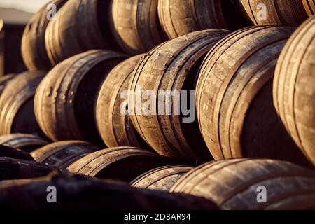 Fûts Scotch Whisky dans la lumière du soir Banque D'Images