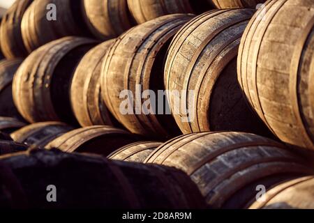 Fûts Scotch Whisky dans la lumière du soir Banque D'Images