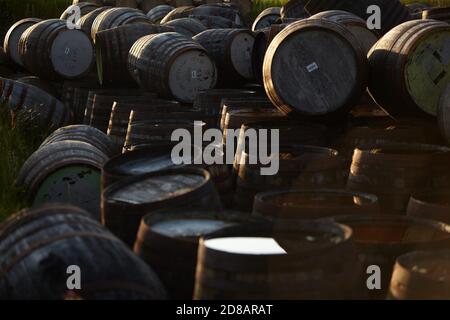 Fûts Scotch Whisky dans la lumière du soir Banque D'Images