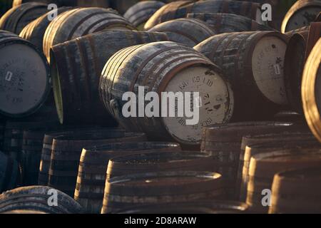 Fûts Scotch Whisky dans la lumière du soir Banque D'Images