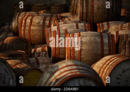 Fûts Scotch Whisky dans la lumière du soir Banque D'Images