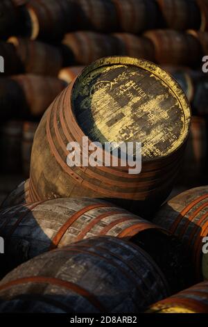 Fûts Scotch Whisky dans la lumière du soir Banque D'Images