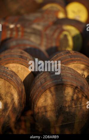 Fûts Scotch Whisky dans la lumière du soir Banque D'Images